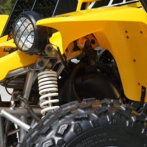 2006 Yamaha Banshee SE 50th Anniversary