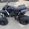 2006 YAMAHA BLASTER SPECIAL EDITION