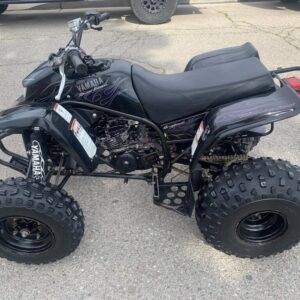 2006 YAMAHA BLASTER SPECIAL EDITION