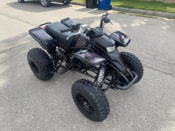 2006 YAMAHA BLASTER SPECIAL EDITION